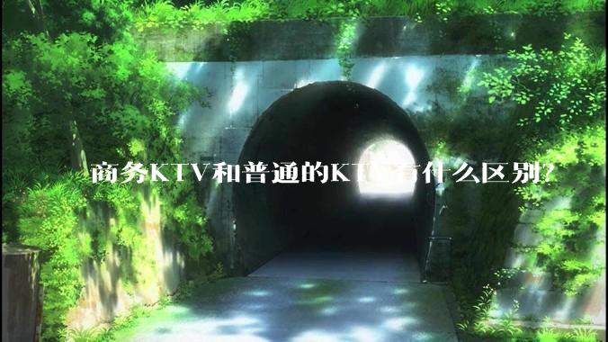 商务KTV和普通的KTV有什么区别？